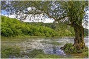 L'Ardeche à Balazuc