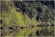 Gardon de Saint-Jean-du-Gard