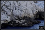 Calanques de Marseille