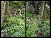 Jardin des Plantes de Toulouse