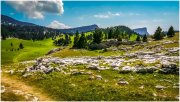 Hauts plateaux du Vercors