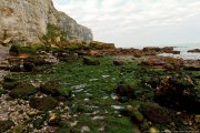 Plage d'Antifer