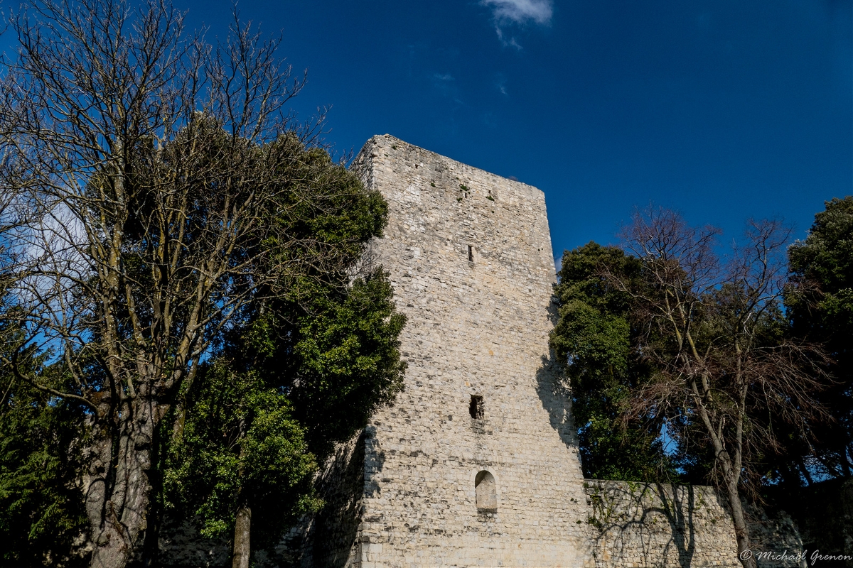 Château des Adhémar