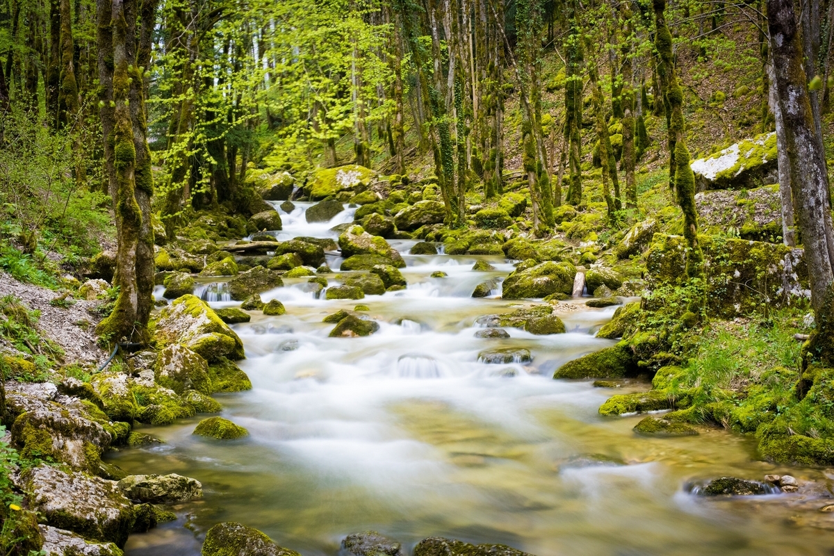 Cascades du Hérisson