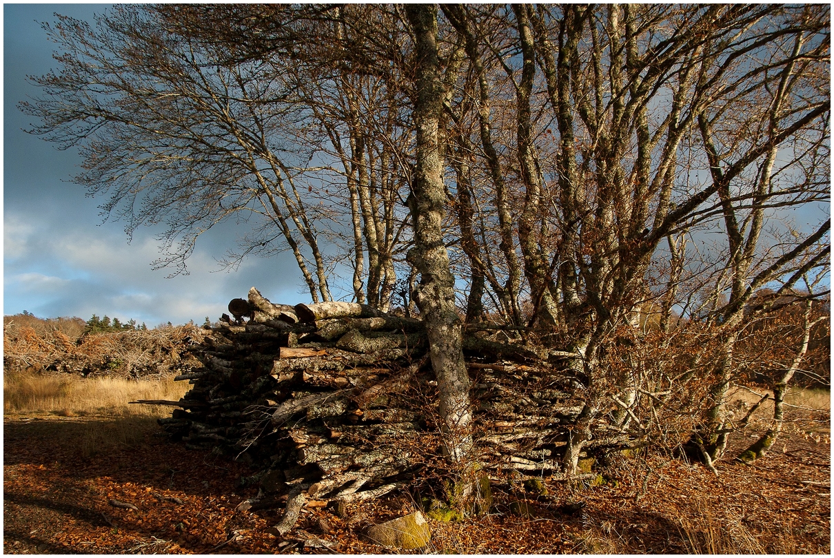 Lozère