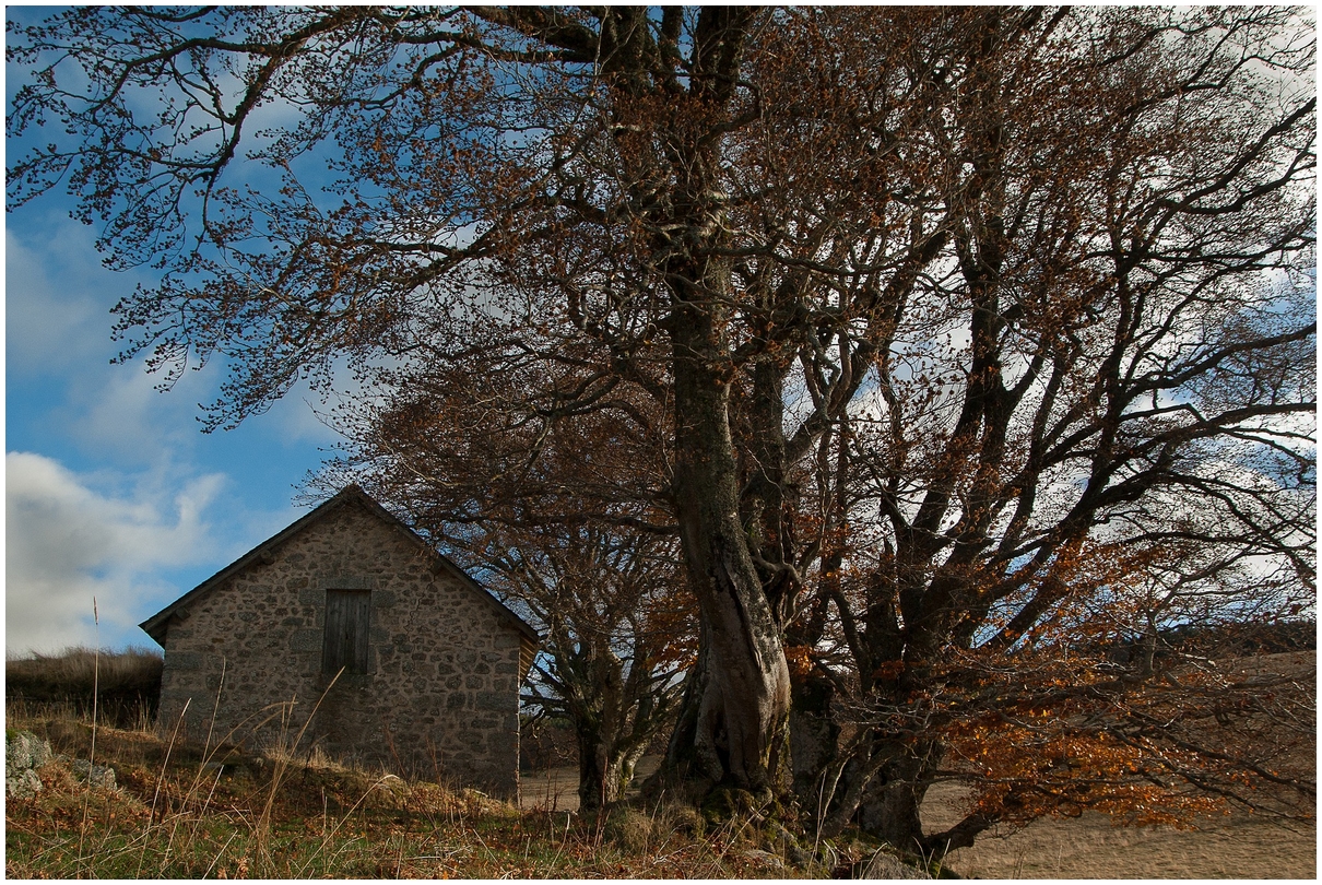Lozère