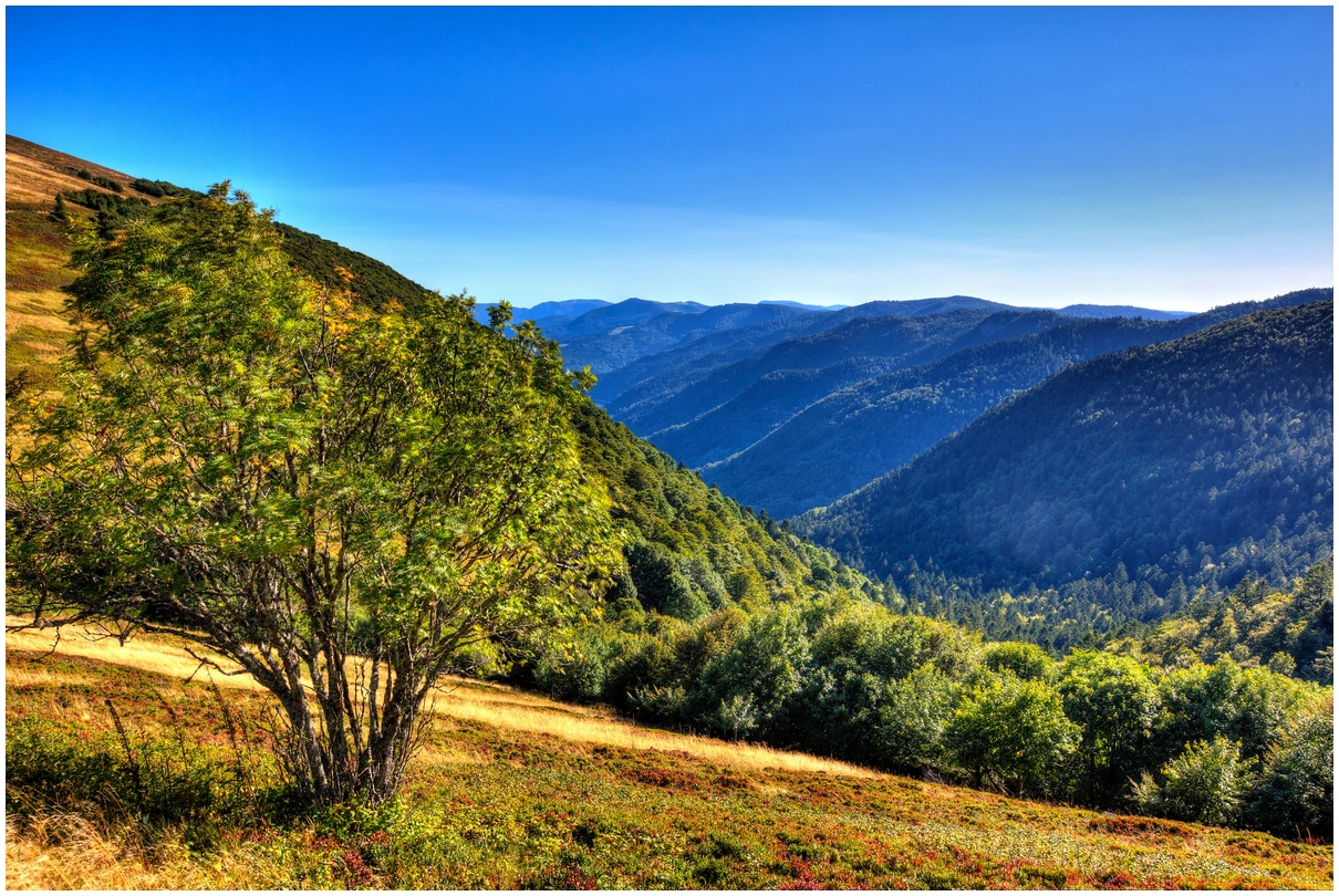 Route des Crêtes et Massif des Vosges