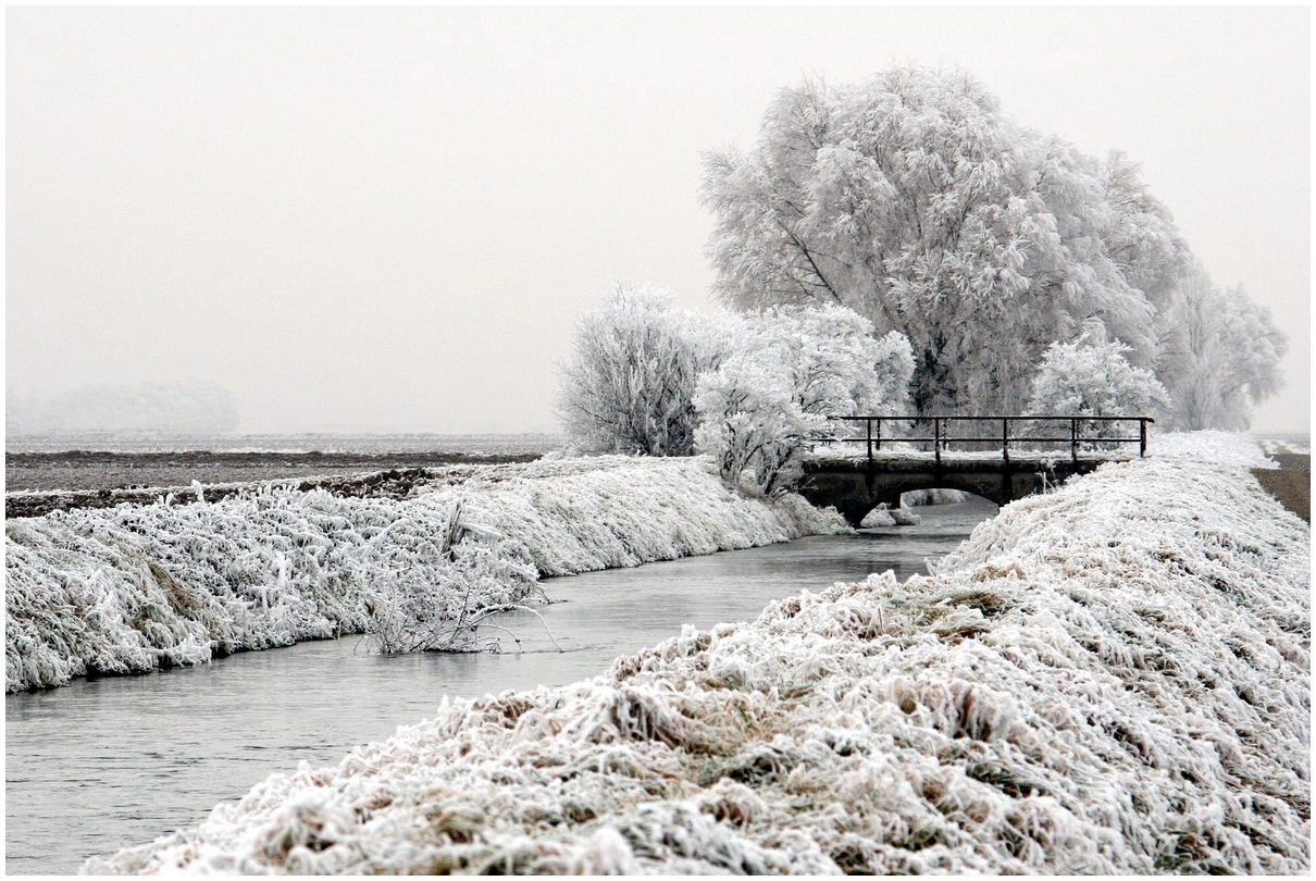 Neige à Roggenhouse