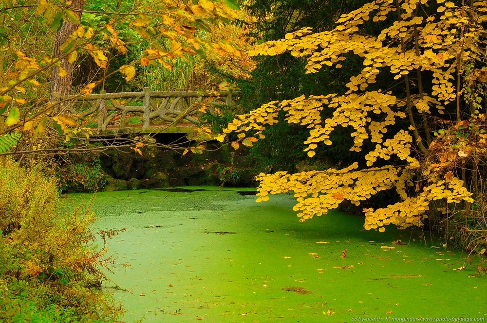 Bois de Vincennes