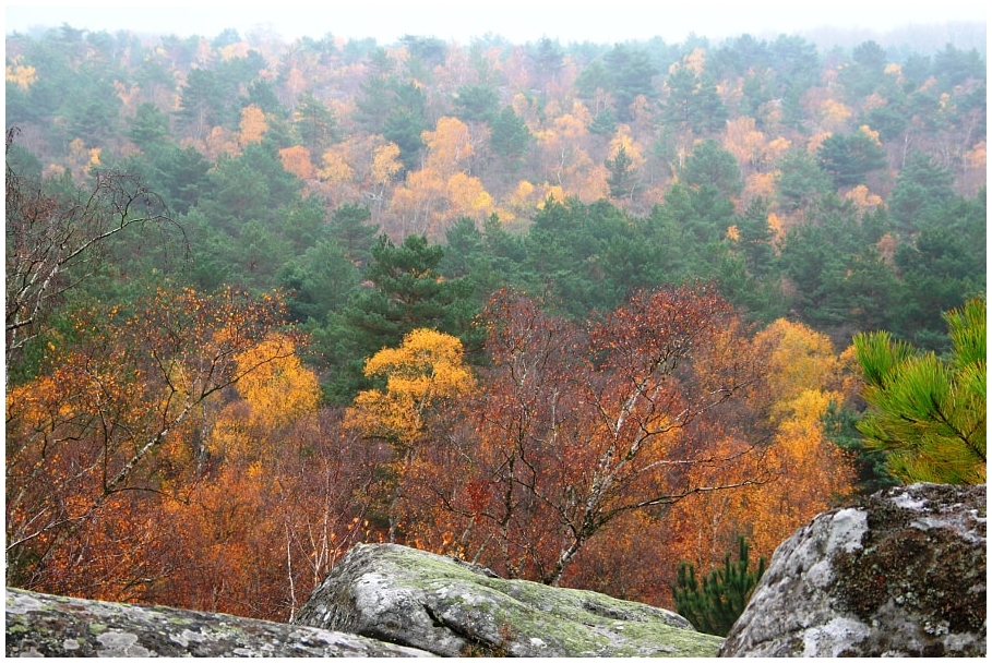 Gorges d'Apremont