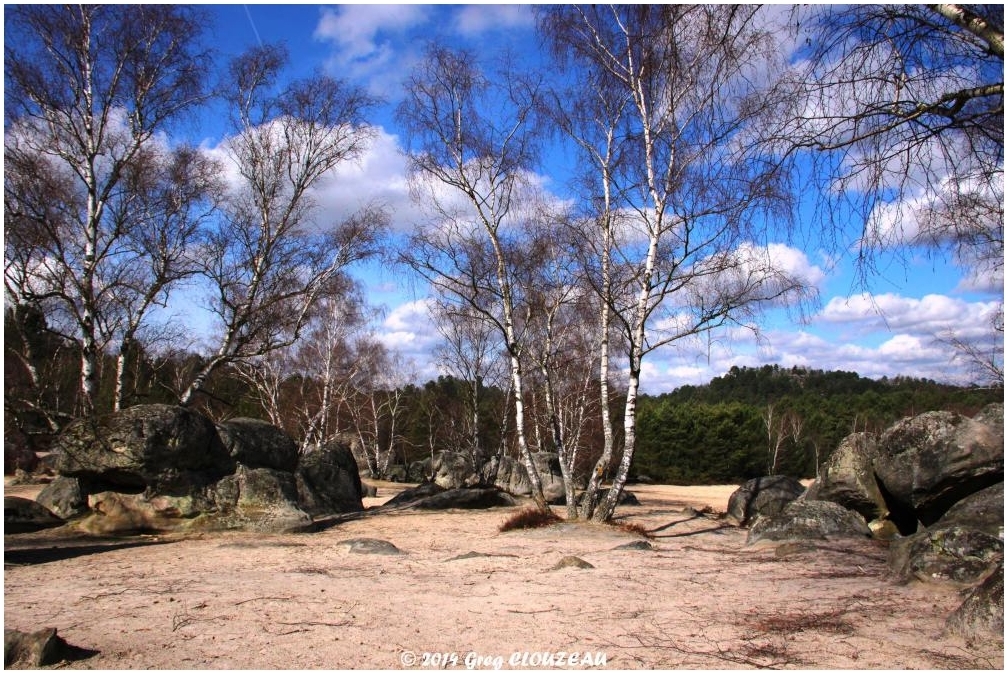 Forêt de Fontainebleau