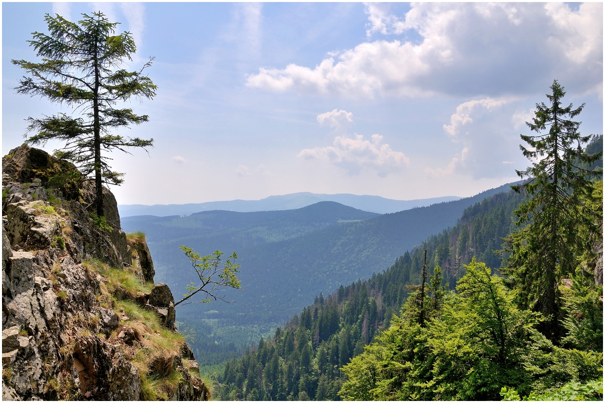 Vue sur la Plaine d'Alsace.