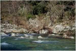 Gardon de Mialet   
