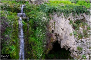 Jardin Botanique (Béziers/34)        