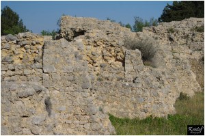 Fort de Leucate        