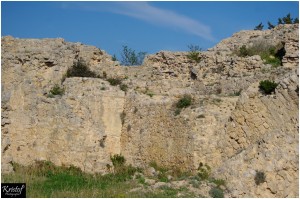 Fort de Leucate        