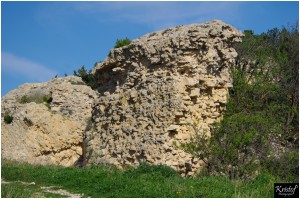 Fort de Leucate        