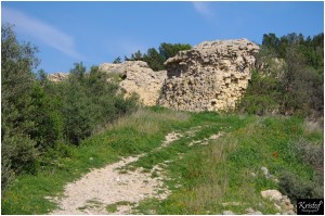 Fort de Leucate        