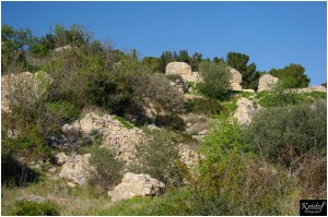 Fort de Leucate        