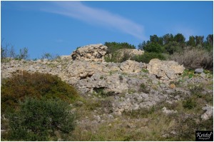 Fort de Leucate        