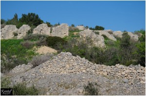 Fort de Leucate      