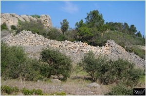 Fort de Leucate      