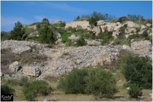 Fort de Leucate    