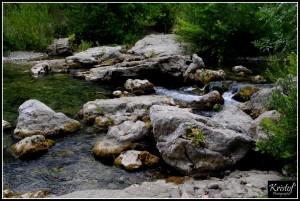 Dans le Minervois    