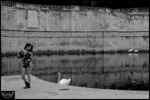 Jardin de la Fontaine (Nîmes/30)           