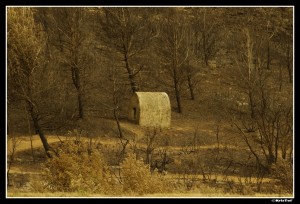 Dans l'Aude       