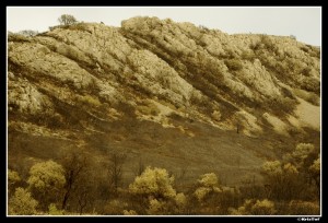 Dans l'Aude       