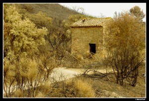 Dans le Minervois