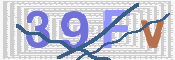 Image Anti-spam