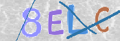 Image Anti-spam