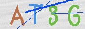 Image Anti-spam