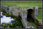 Source de la loue, dans le Doubs (25)