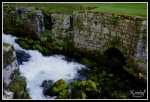 Source de la loue, dans le Doubs (25)